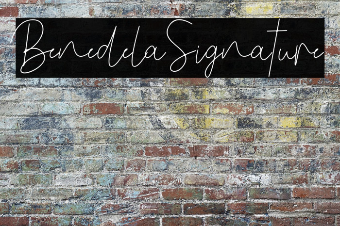 BenedelaSignature Example 2