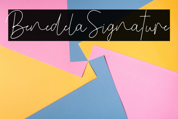 BenedelaSignature Example 3