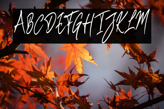 BenefitspumpkinScript Example 2