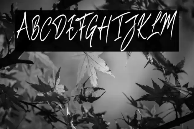 BenefitspumpkinScript Font examples