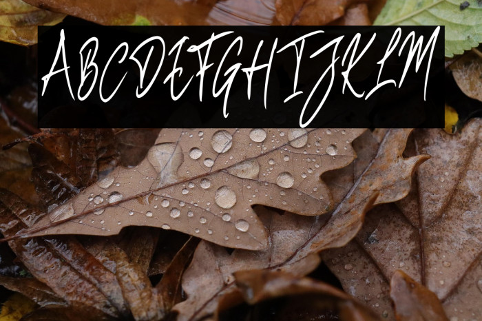 BenefitspumpkinScript Example 3