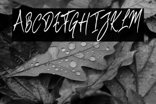 BenefitspumpkinScript Font examples