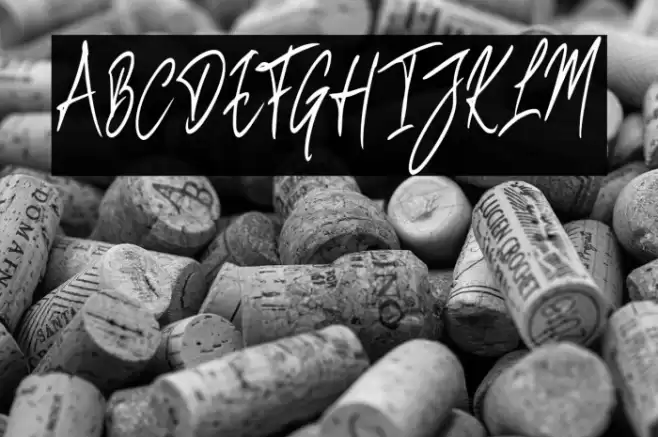 BenefitspumpkinScript Font examples