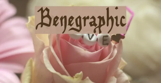 Benegraphic Example 2
