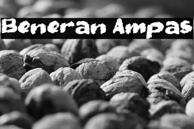 Beneran Ampas Font examples
