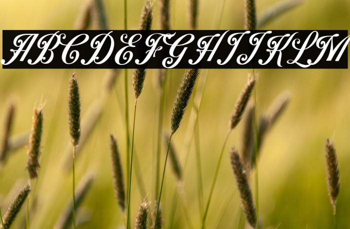 Benford DEMO Example 2