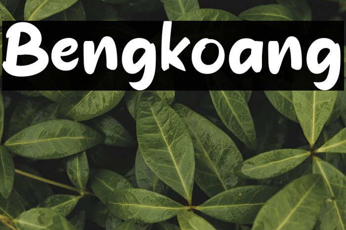 Bengkoang Example 3