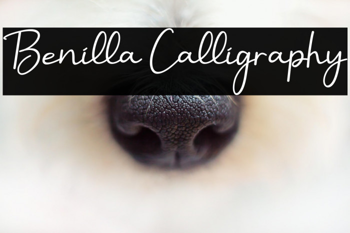 Benilla Calligraphy Example 3
