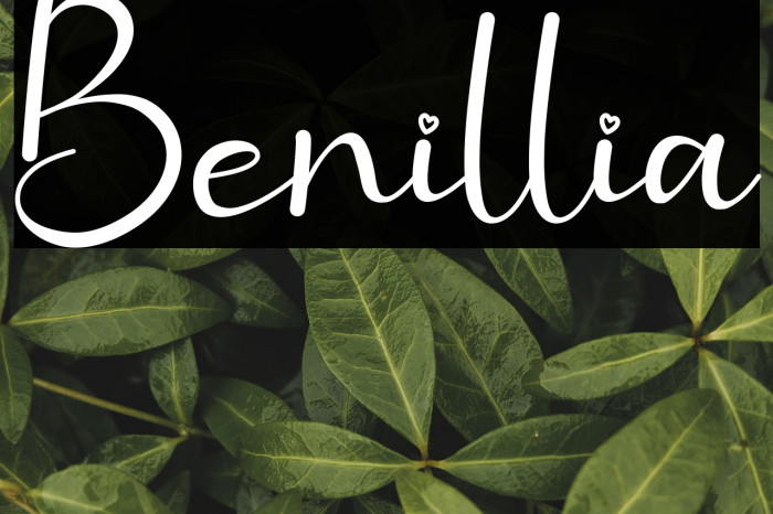 Benillia Example 2
