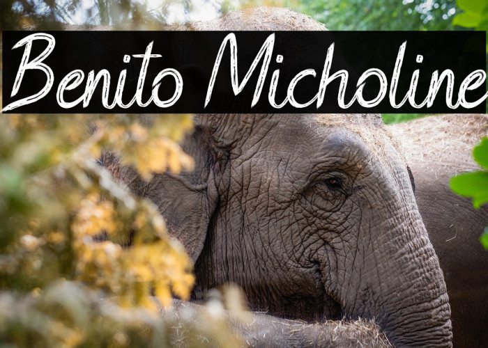 Benito Micholine Example 2