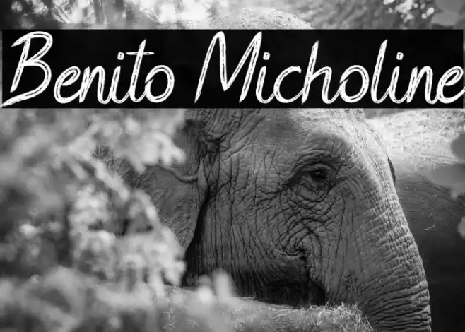 Benito Micholine Font examples