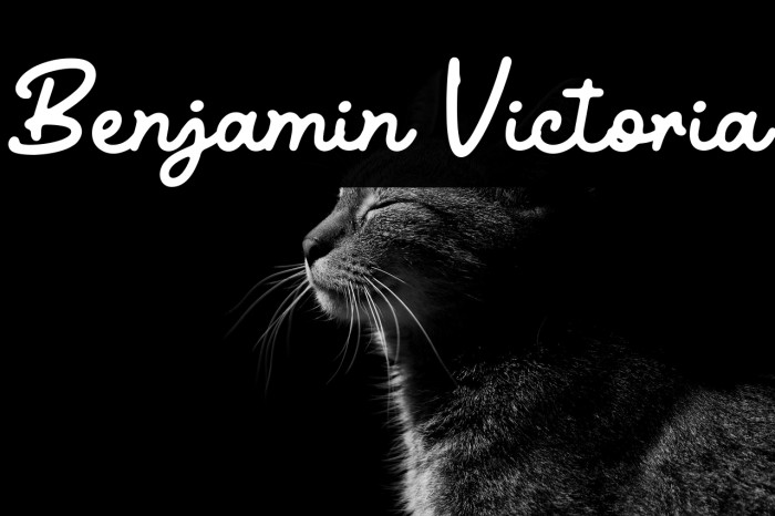 Benjamin Victoria Example 3