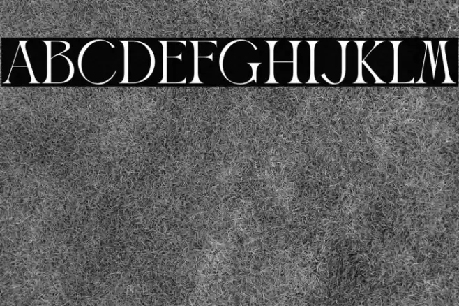 Benjola Font examples