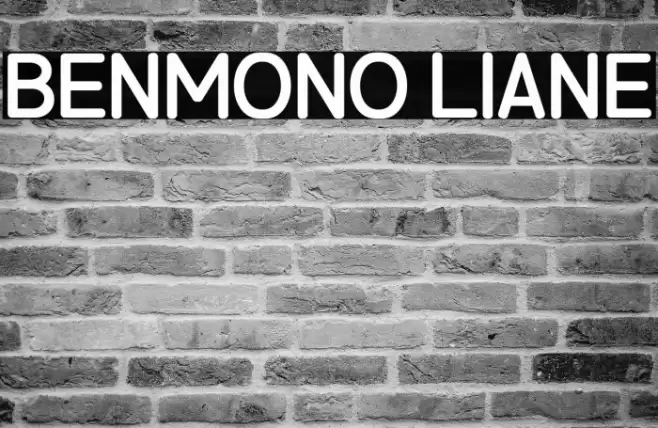 Benmono Liane Font examples