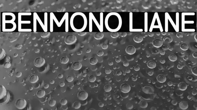 Benmono Liane Font examples