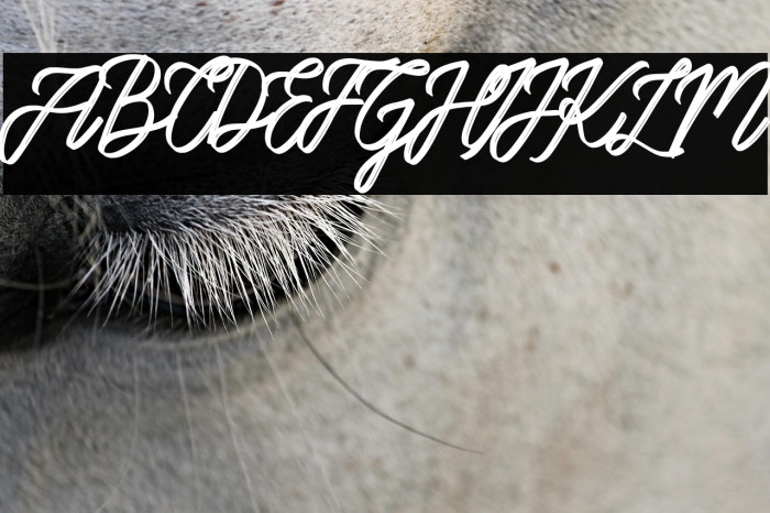 Bennington Glow Demo Version Example 1