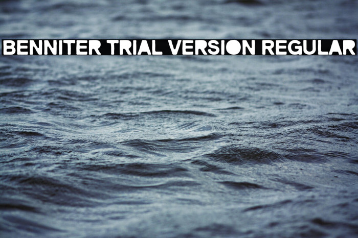 Benniter Trial Version Regular Example 2