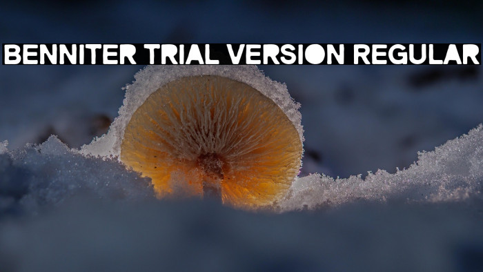 Benniter Trial Version Regular Example 3