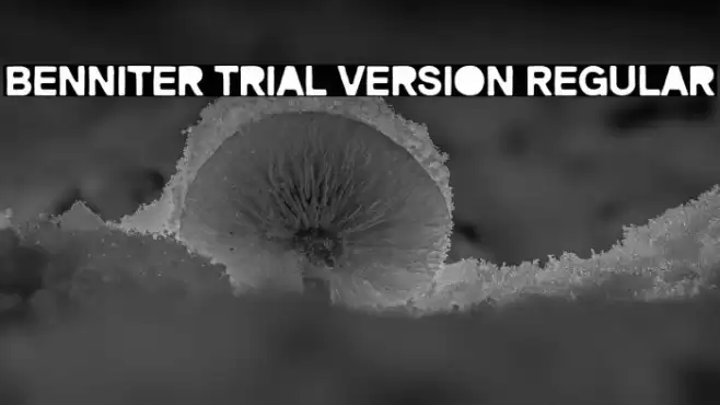 Benniter Trial Version Regular 字体 examples