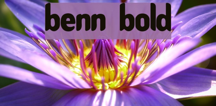 Benny Bold Example 2