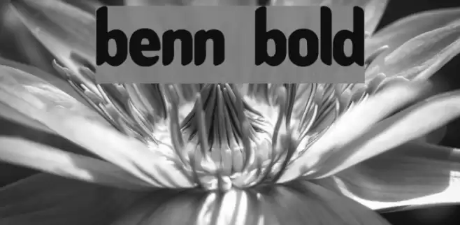 Benny Bold Font examples