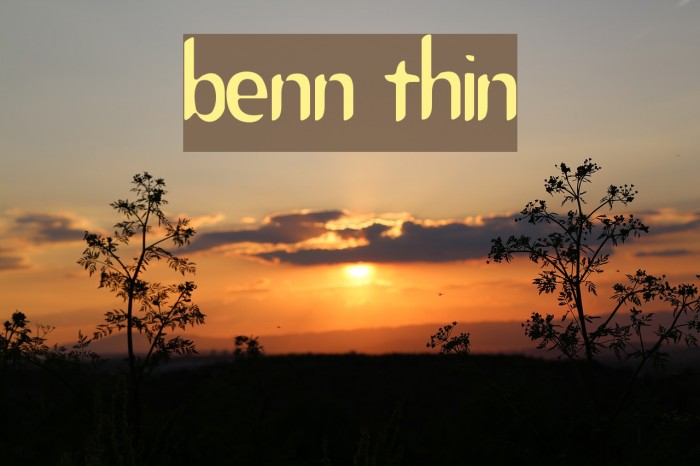 Benny Thin Font examples