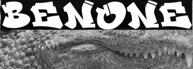 Benone Font examples