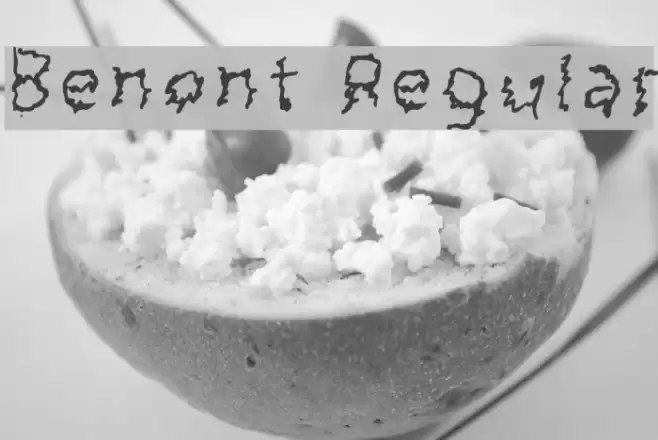Benont Regular Font examples