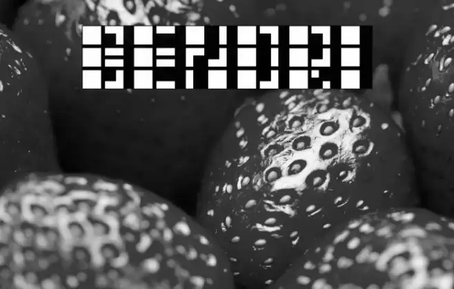 Benori Font examples