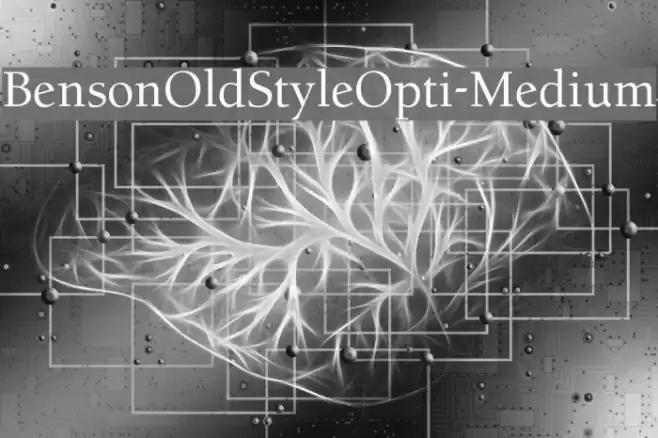 BensonOldStyleOpti-Medium Font examples