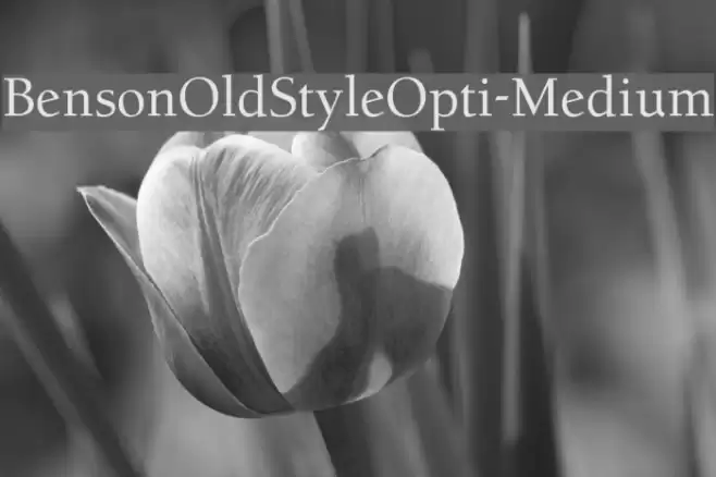 BensonOldStyleOpti-Medium Font examples