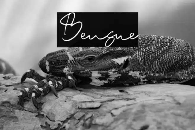 Bensue Schriftart examples