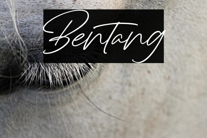 Bentang Fuentes examples