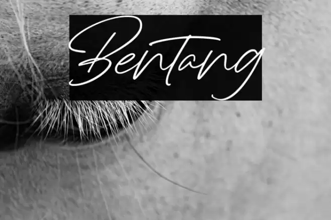 Bentang Font examples