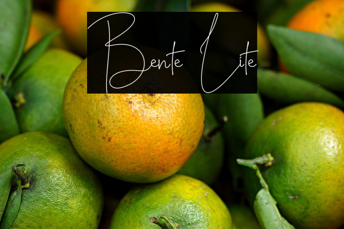 Bente Lite Example 1