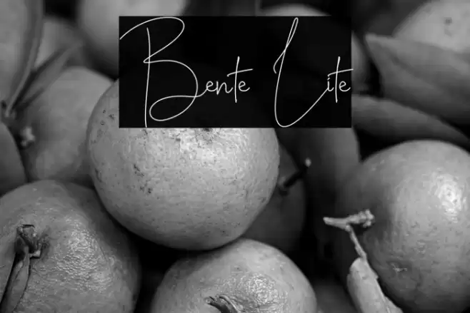 Bente Lite Font examples