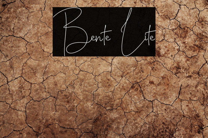 Bente Lite Example 3