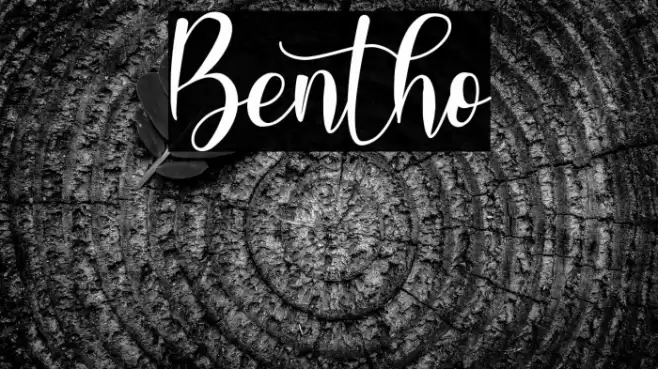 Bentho Font examples