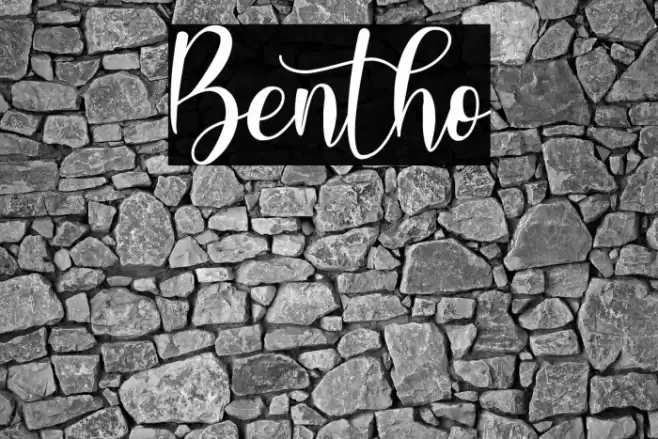 Bentho Font examples