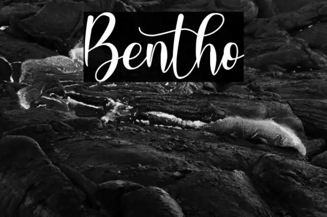 Bentho Font examples