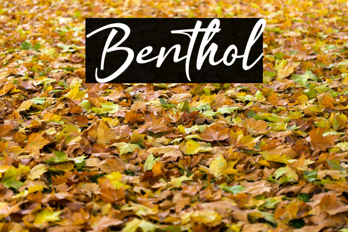 Benthol Font examples