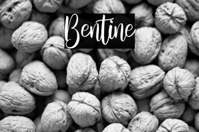 Bentine Font examples