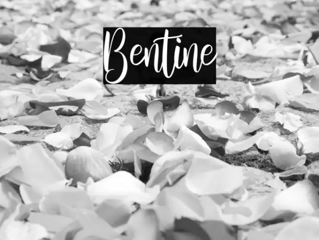 Bentine Font examples