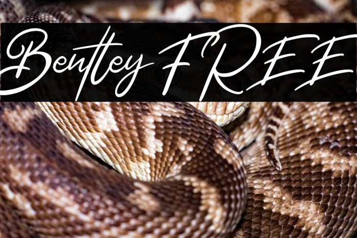 Bentley FREE Example 1