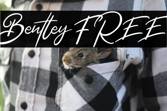 Bentley FREE Example 2