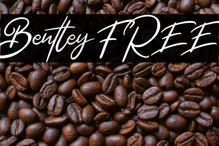 Bentley FREE Example 3