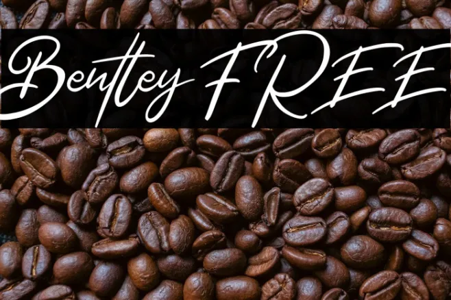 Bentley FREE Example 3