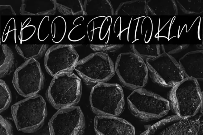 Bentley Font examples