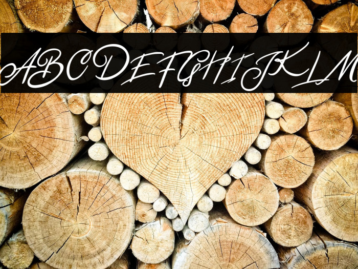 BentleyFREE Example 1