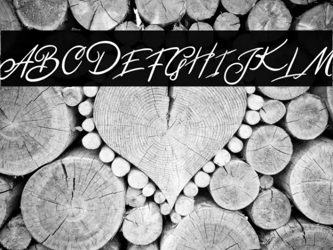 BentleyFREE Font examples